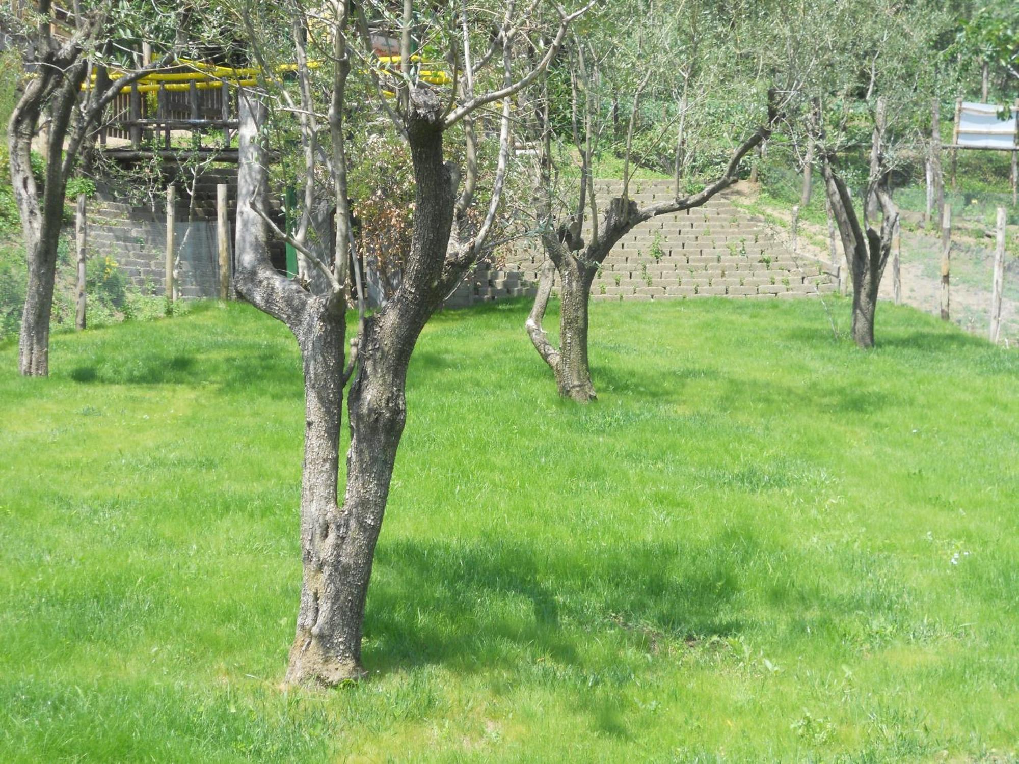 Agriturismo La Casa Del Ghiro Pimonte Exterior photo